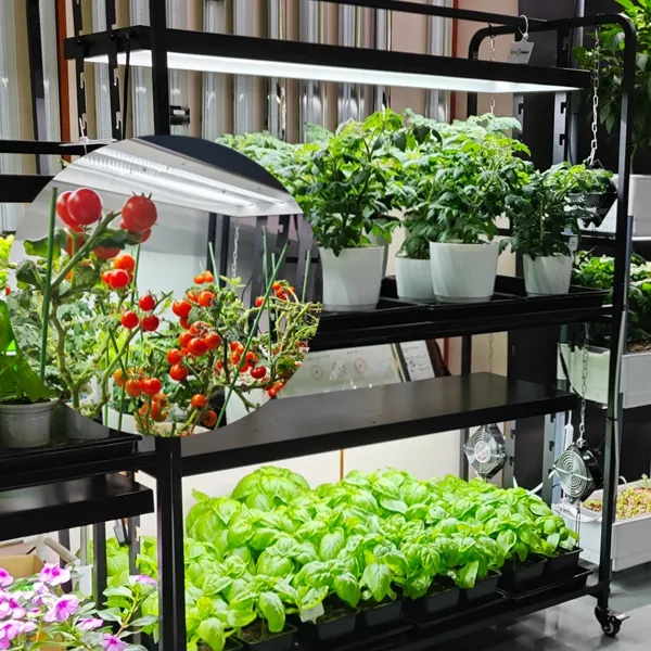 Tomate Grow Flower Herb Vegetables Kit Planter System Led Grow Rack con lámpara de 6400K