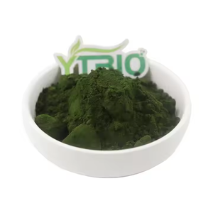 Bulk Sodium Copper Chlorophyllin E568 Pó para Pigmento Natural e Benefícios à Saúde - Product Image 3