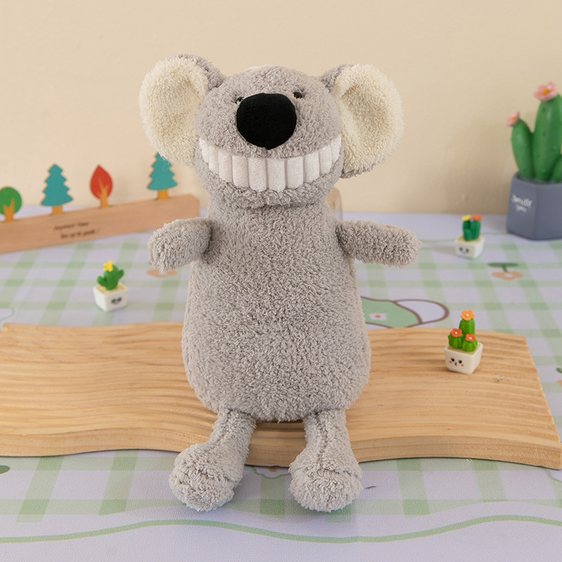 koala gris