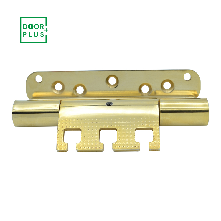Doorplus Durable Small Stainless Steel Hardware High Quality Polish Gold Metal Door Hinges