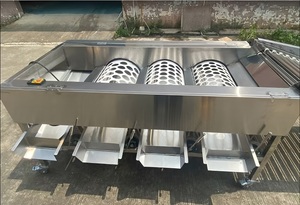 Size Sorter Fruit and Vegetable Cherry Date Orange Olive Avocado Cassava <strong>Classifier</strong> Rolling Rail Sorting Grader Machine - Product Image 6
