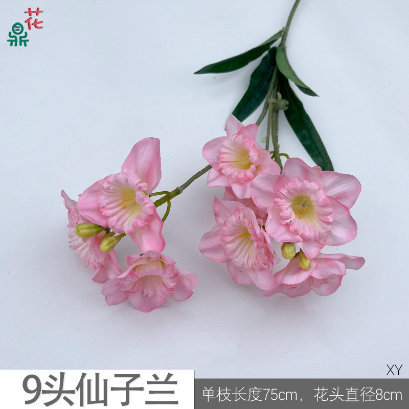 Orchidée féerique à 9 têtes XY rose