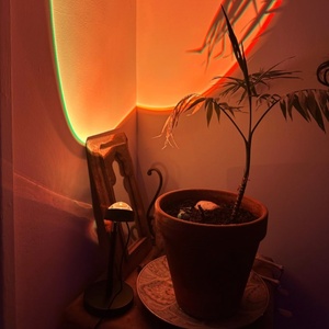 Smart Sunset Projection Light <strong>APP</strong> RGB 16 Colors Usb <strong>Led</strong> Projector Sunset Lamp for Home Decorations Garden Use Metal Material - Product Image 2