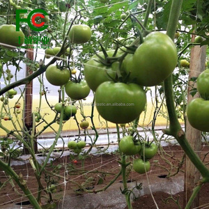 PP植物サポートネット: 野菜を登るための多用途豆、スイートピー、キュウリのネッティングトレリス - Product Image 5