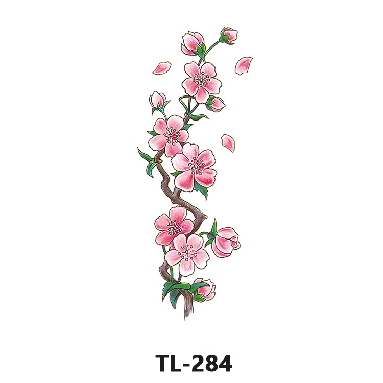 Tl-284