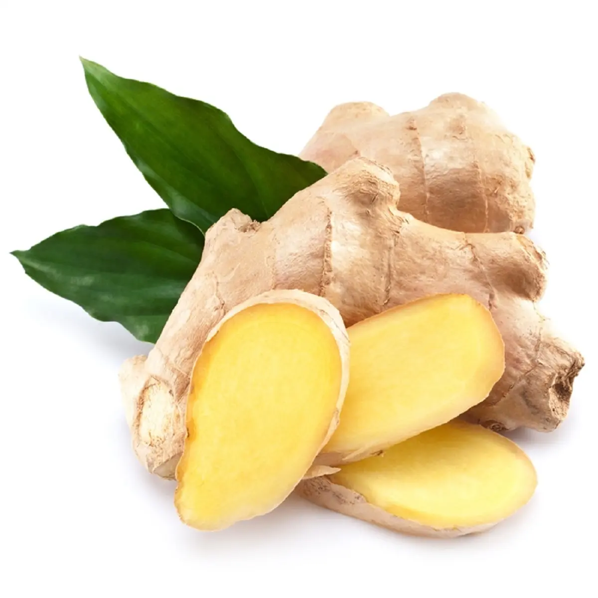 2023 High Quality Fresh Chinese Ginger or Air Dried Frozen Ginger with the Best Price