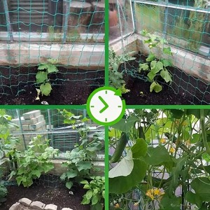 Pergolato a traliccio vegetale, poliestere resistente coltiva rete, reticolato da giardino con maglia quadrata per piante rampicanti, ortaggi, - Product Image 3