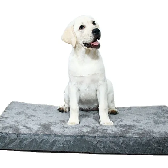 Perrera de espuma viscoelástica extraíble y lavable para perros y gatos, alfombrilla para mascotas, cama cálida para perros