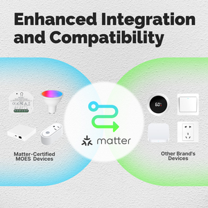 Materia 10A Smart Wifi Switch modulo di controllo remoto Wireless tramite eWelink Alexa Google Zigbee materia di rete compatibile - Product Image 3