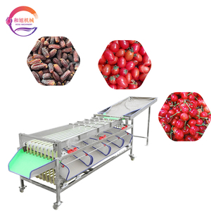 Máquina clasificadora de patatas Máquina clasificadora de rodillos Máquina clasificadora de cerezas de café - Product Image 3