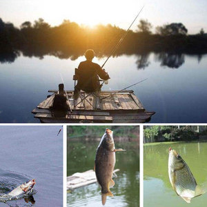 Edelstahl Commercial Liquidation Sale Bleifreie geschlossene Augen nadeln Single Wrap Rolling Swivel Angel gerät - Product Image 6