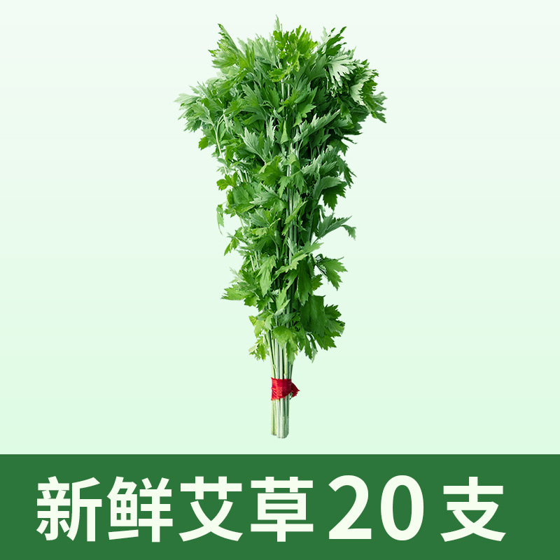 20 tiges de mugwort fraîches (1 botte)