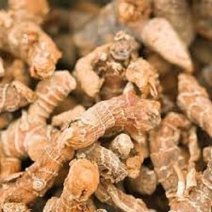 Alpinia Galanga Kulanjan kök <span class=keywords><strong>Paan</strong></span> Jadd Koshtha Kulinjan siyam zencefil Galangal kurutulmuş ham otlar bitki özü bitkisel