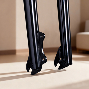 Funsea BMX cruisers 29 inch cứng nhắc xe đạp ngã ba hi-ten thép 1020 ĐĨA PHANH - Product Image 4