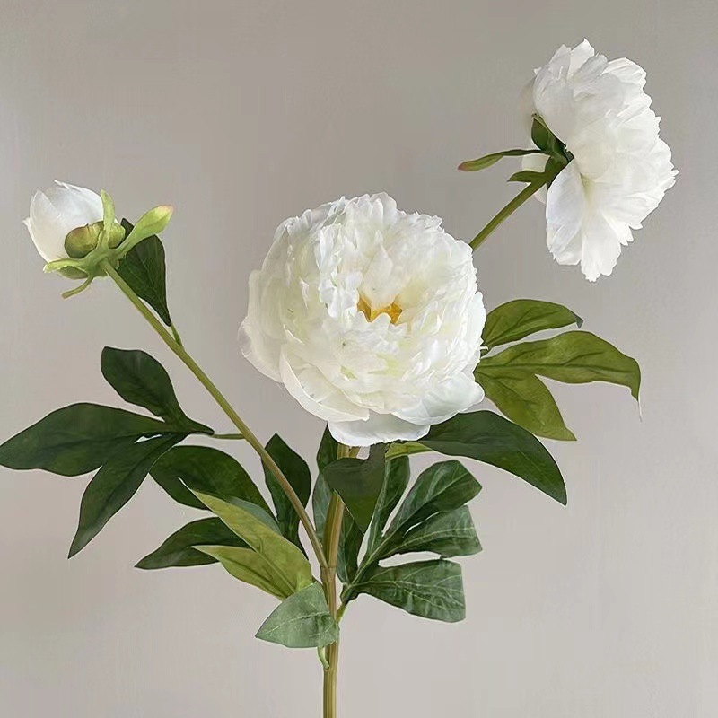 Blanc