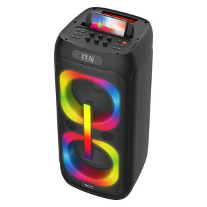 无线充电大RGB轻声低音DJ卡拉ok派对盒双8英寸派对盒蓝牙扬声器 (K8001B)