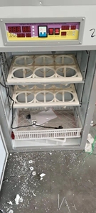 自動容量12ダチョウ卵インキュベーターHJ-I6 - Product Image 5