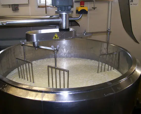 Planta de procesamiento de leche/yogur/queso de fábrica, máquina de producción de leche pasteurizer