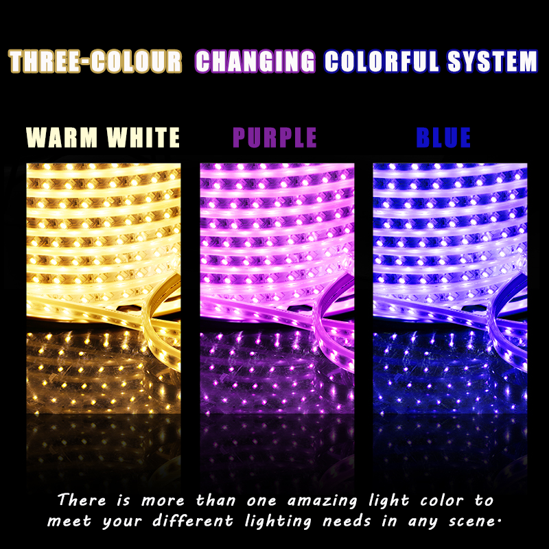 Bande LED 3 couleurs (blanc chaud et bleu)