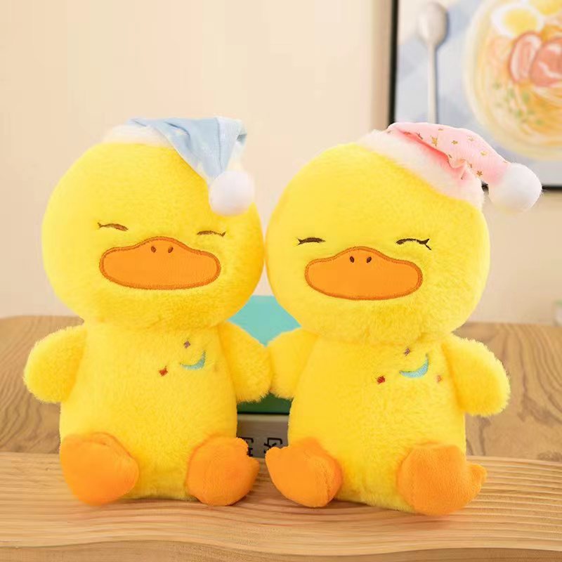 Bonne nuit canard