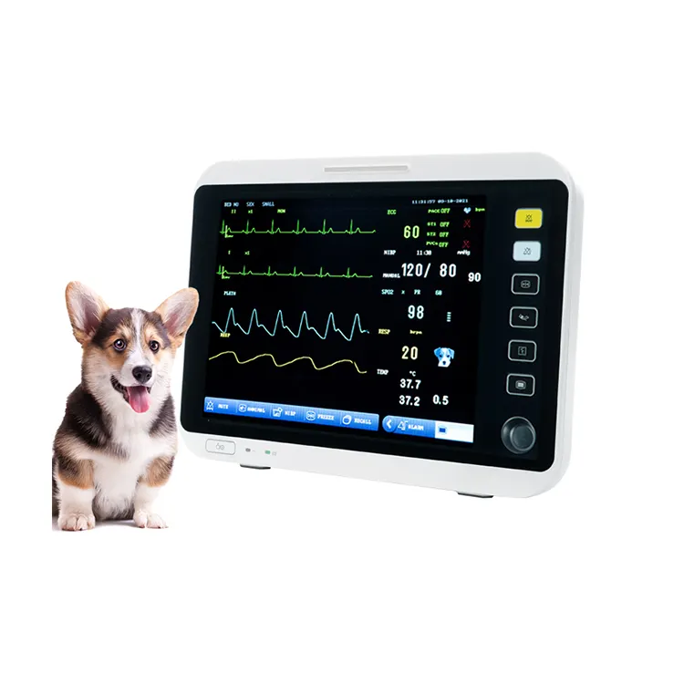 Monitor cardíaco de sinais vitais para UTI, saúde, pressão arterial, cachorro, animal de estimação, monitor de pulso e PA