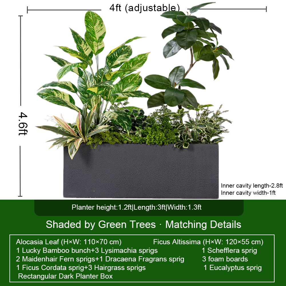Conjunto gris de 1,4 m con Ficus Altissima y Alocasia