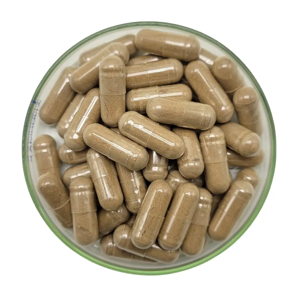 Black Cohosh capsule Black Cohosh estratto integratore OEM Private Label Non ogm, e senza glutine