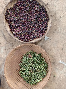Factory Direct Coffee <strong>Color</strong> Sorter <strong>Bean</strong> Optical <strong>Sorting</strong> <strong>Machine</strong> Seeds Selector Equipment <strong>Cocoa</strong> <strong>Bean</strong> <strong>Sorting</strong> <strong>Color</strong> Factory 320 - Product Image 6