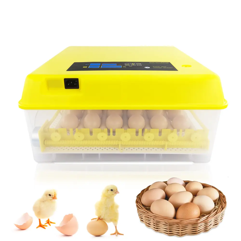 New Type Mini Incubator for Hatching About 42 Eggs/Ht-42 Mini Incubator with Egg Testing Function