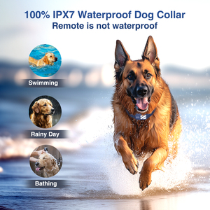 PATPET 4000Ft Ipx7 <span class=keywords><strong>Collar</strong></span> de choque para entrenamiento de perros con control remoto para perros <span class=keywords><strong>E</strong></span> <span class=keywords><strong>Collar</strong></span> Smart Dogs Trainer 3 modos de entrenamiento recargable - Product Image 5