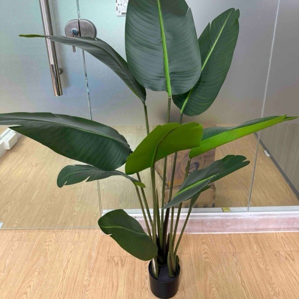 Foreign-trade model travelers banana tree-150 cm detachable