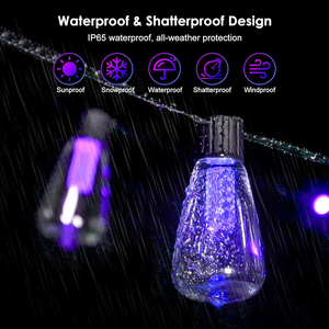 US 31ft <strong>Multi</strong> <strong>Color</strong> Christmas <strong>Lights</strong> Rgb Led Pixel <strong>String</strong> <strong>Light</strong> ST38 Bulb Waterproof Led Curtain <strong>String</strong> <strong>Light</strong> - Product Image 1