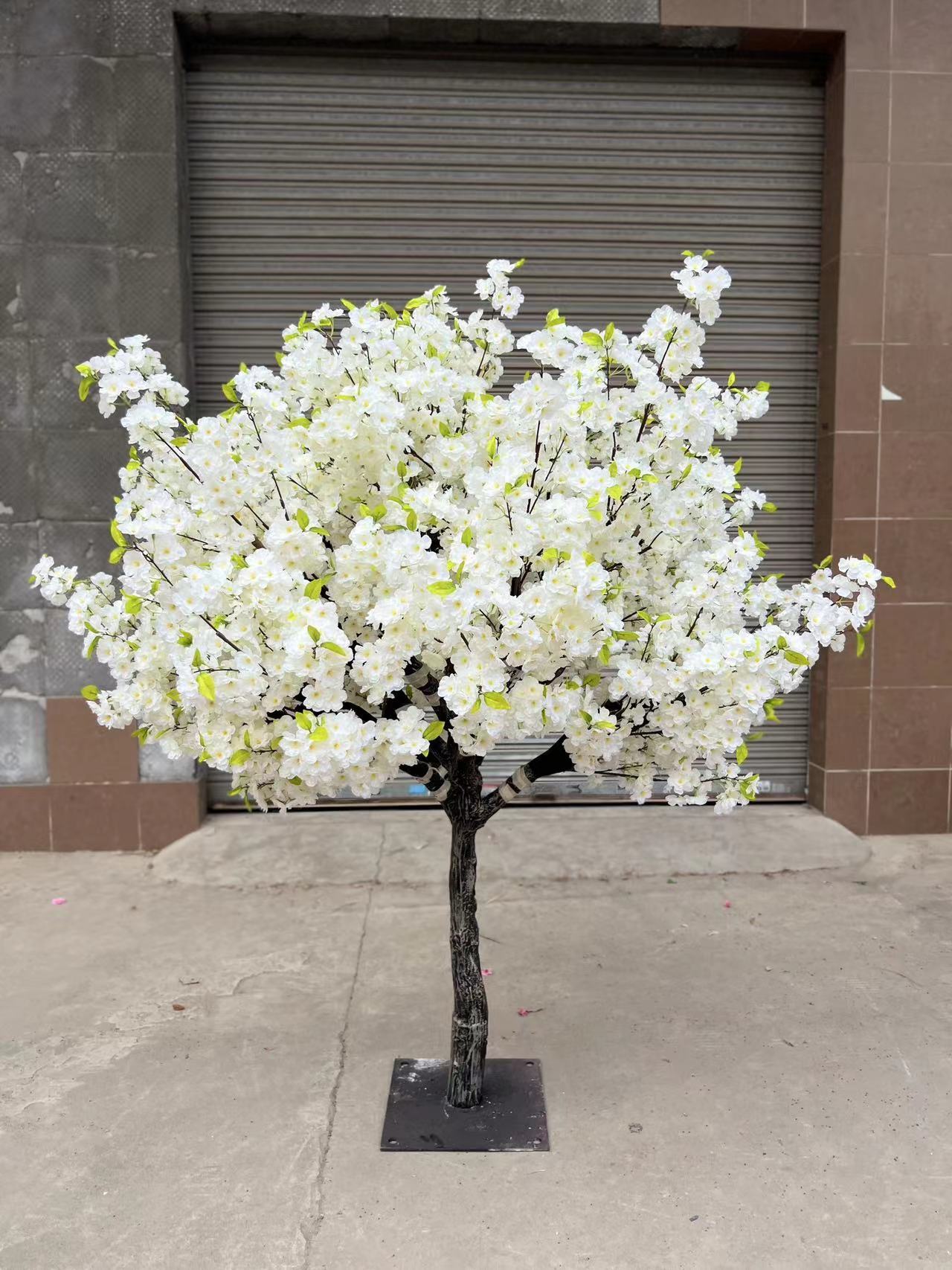 1.white 1.5m cherry tree