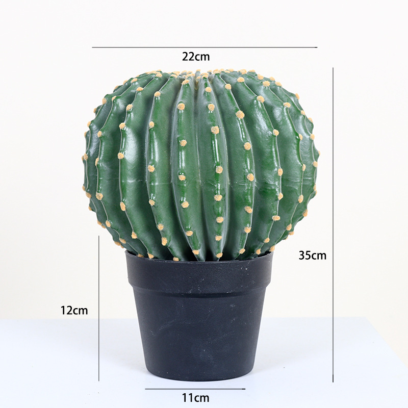 Cactus bonsai-h 35cm 22cm