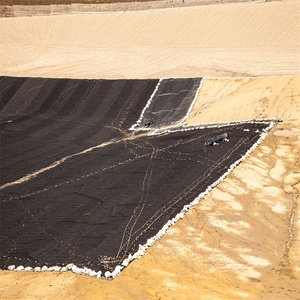 Tarım bir tarafı pürüzsüz 2mm HDPE geomembran - Product Image 6