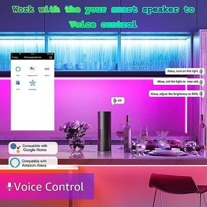 WiFi BLE Addressable RGBIC Music Sync Voice App Wireless <strong>DMX</strong> Programmable Digital Strip Rope Matrix Pixel RGB <strong>Led</strong> <strong>Controller</strong> - Product Image 5