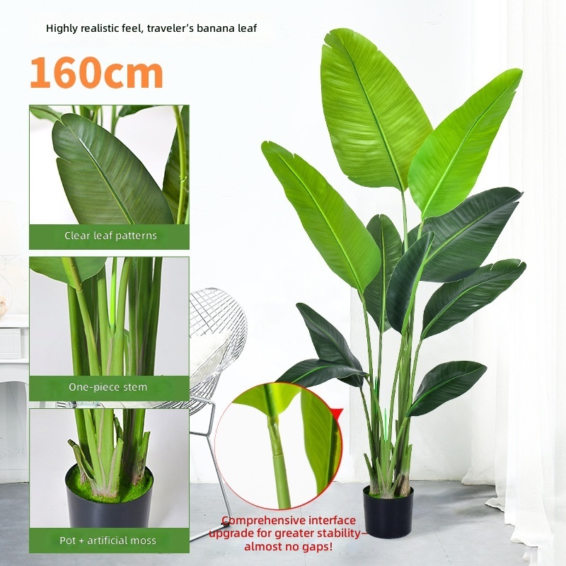 160cm high sim traveler banana-real hand leaf 10 leaves-black pl