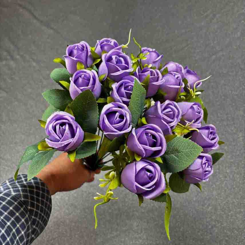 Pourpre