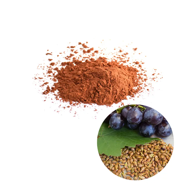 プロシアニジン粉末プロアントシアニジン95% Pcブドウ種子エキス95% UV