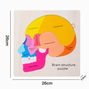 人脑解剖结构脑零件匹配木板游戏幼儿家庭学校活动儿童科学游戏 - Product Image 3