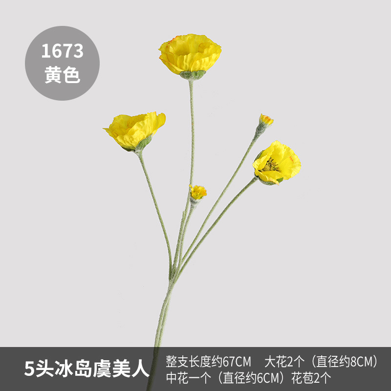 1673 yellow