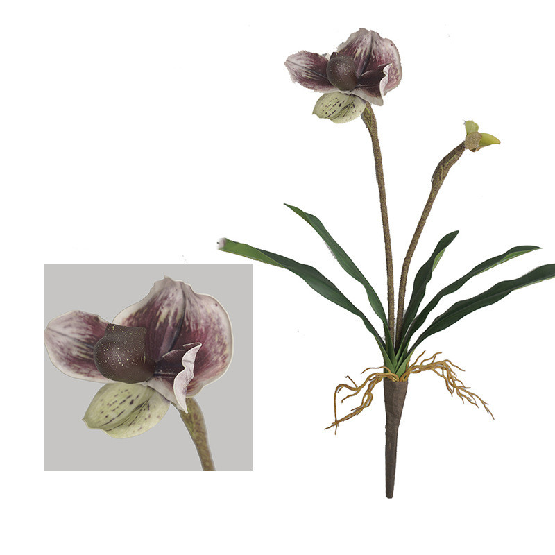 สีน้ำตาล