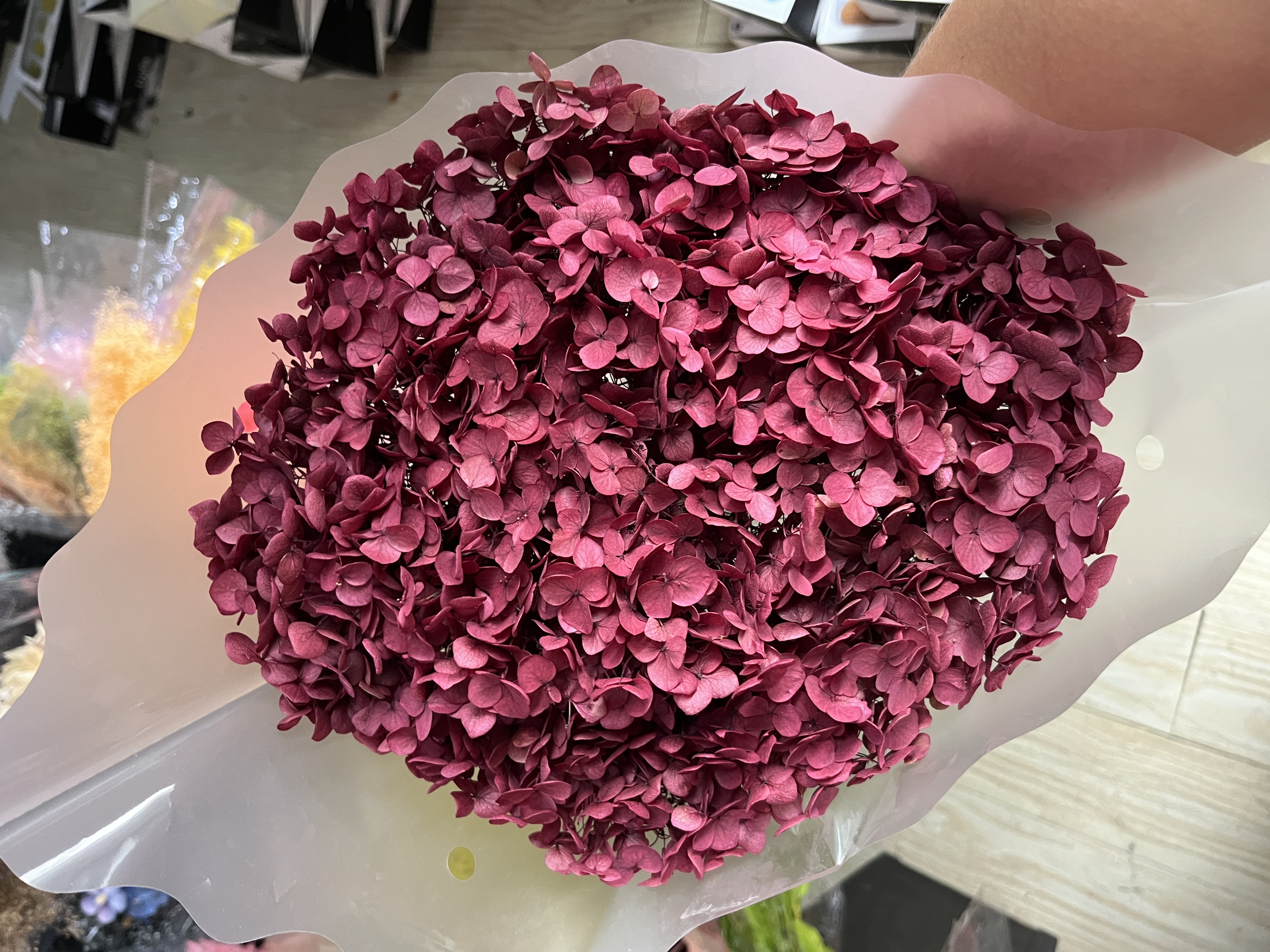 absorbing rose red