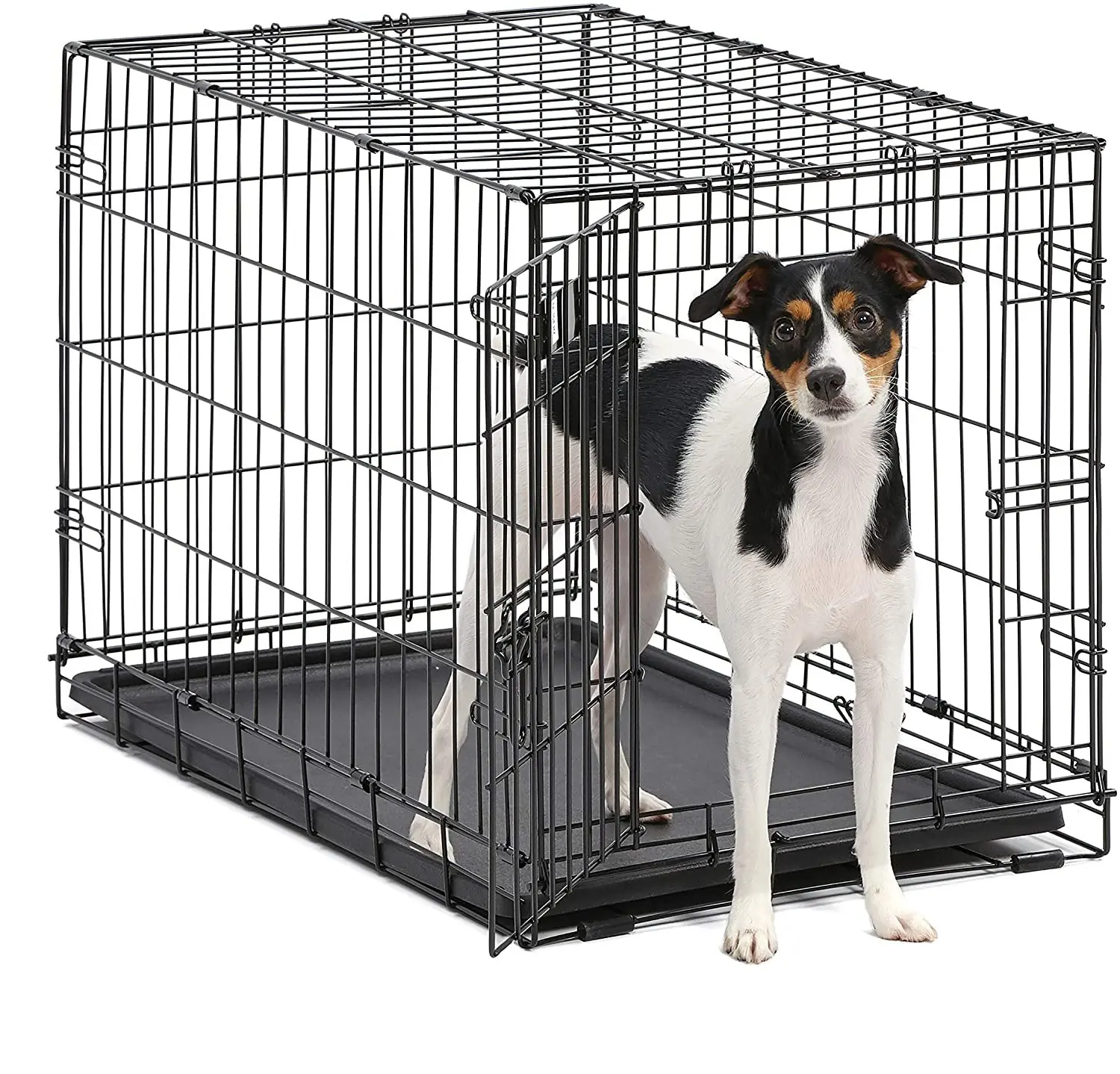 Kingtale Custom Pet Pet fornitori di accessori per cani fabbrica diretta gabbia di filo pieghevole case per animali domestici