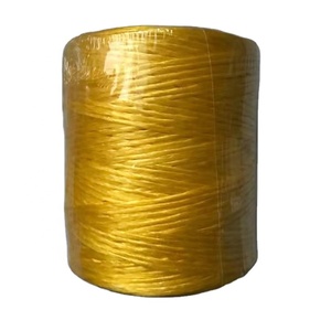 100% 聚丙烯价格便宜强力打包机麻线聚丙烯拉菲草 - Product Image 1