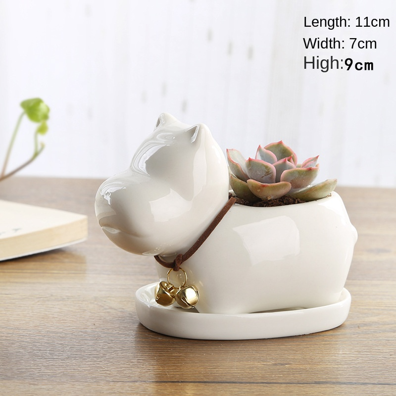 FP Hippo + Assistance