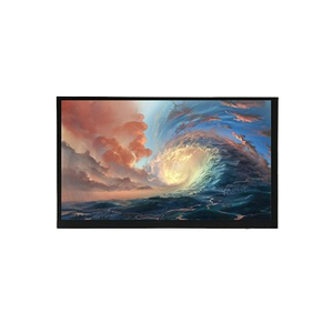 Módulo de pantalla LCD TFT IPS de 11,6 pulgadas con resolución 1366*768 Pantalla LCD LVDS Interfaz de retroiluminación LED EDP - Product Image 4