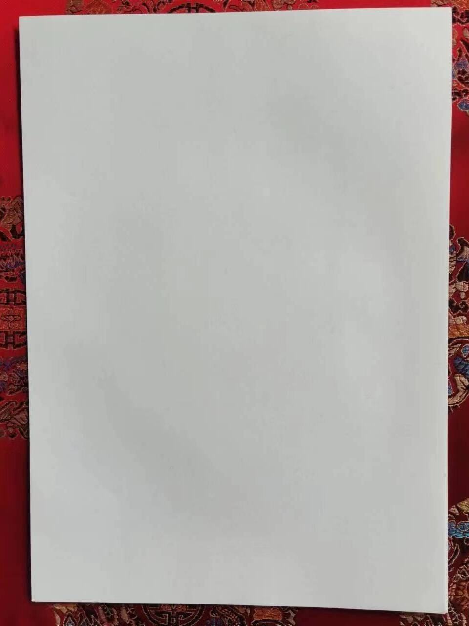 Blanc (100 feuilles)