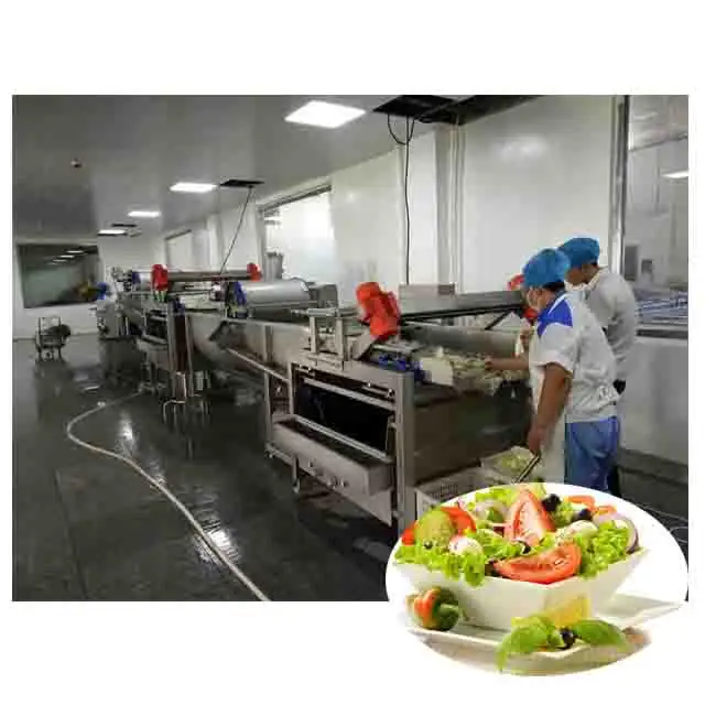 kostengünstige Saladverarbeitungs- und Verpackungslinie in Lebensmittelqualität mit CE-Zertifizierung