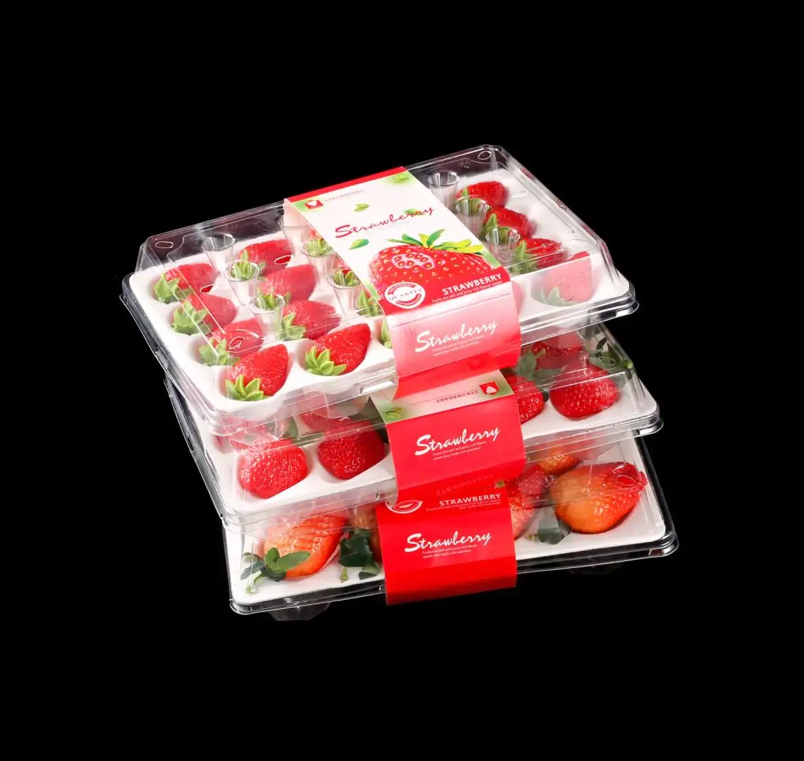 Manufacturer Eco-Friendly Clear PET Blister Box Fruits Plastic Container clamshell Strawberry Boxes Packaging for Supermarket